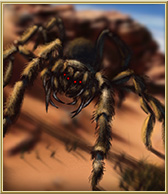 Tarantule.jpg
